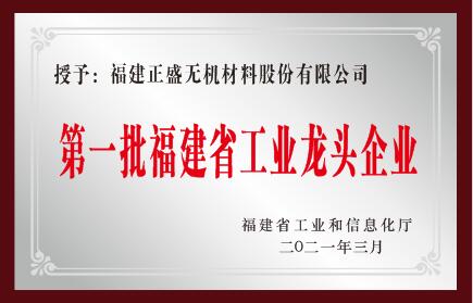 第一批福建省工業龍頭企業