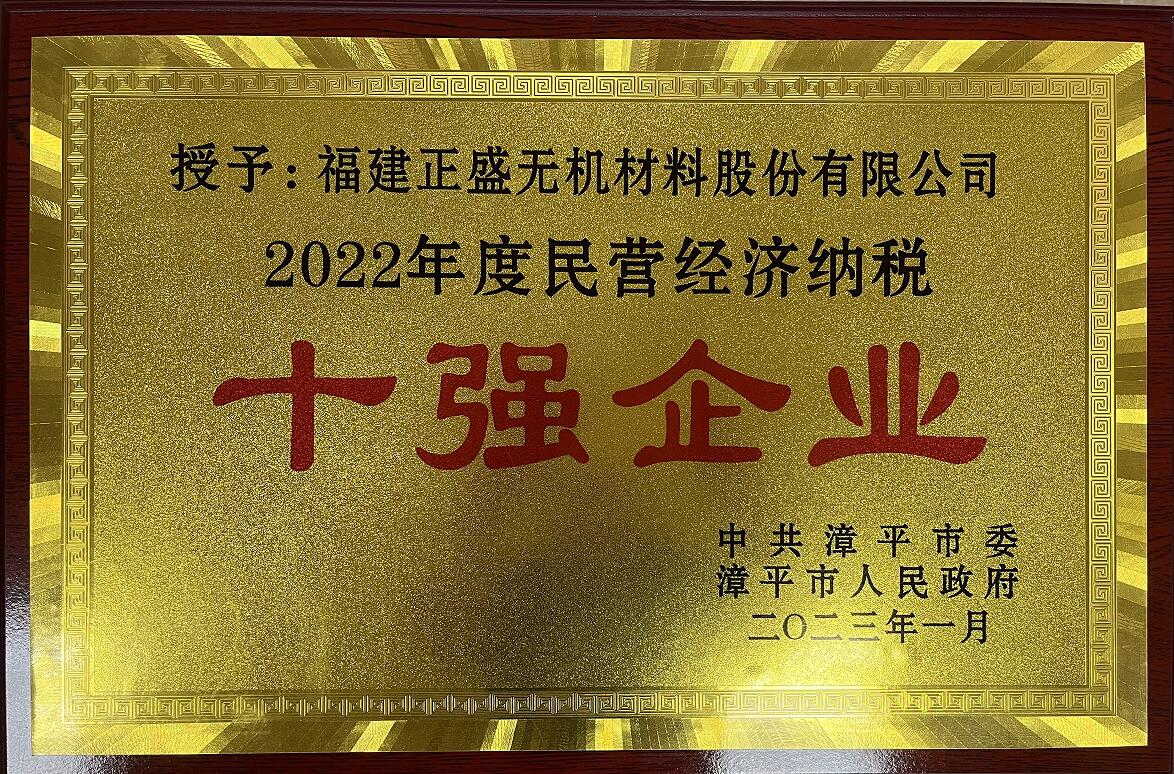 年度民營經濟納稅十強企業